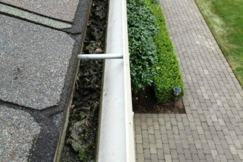 Gutter Cleaning Services | All-Clean!