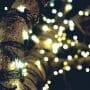 Most Common Holiday Light Installations