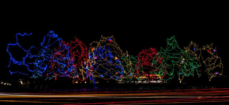 When Should I Expect To Pay For My Holiday Lights Installation?