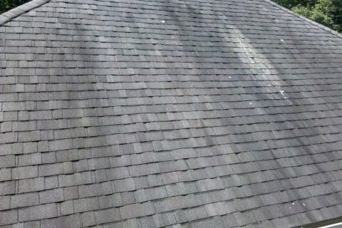 What Is The Business Case For Cleaning My Roof vs Doing Nothing?
