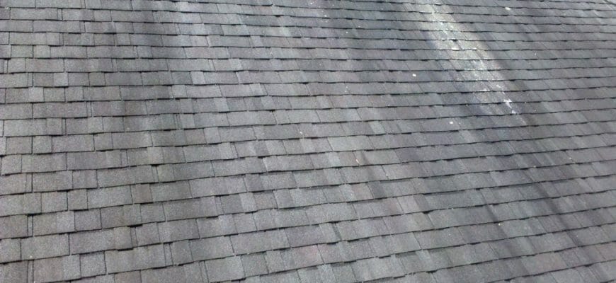What Are Those Black Streaks  On My Roof?