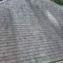 What Are Those Black Streaks  On My Roof?