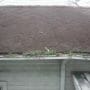 The Benefits of Cleaning Your Roof and Gutters At The Same Time