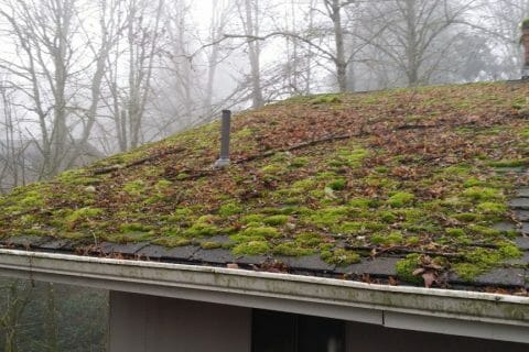 How Do I Get Moss Off My Roof?