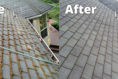 Tell Me Again: Why Is Roof Cleaning So Important?